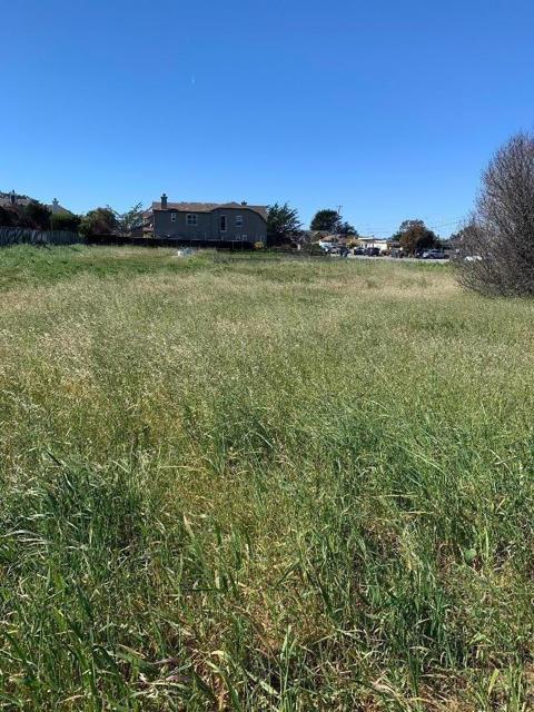 0 Magnolia Street, Half Moon Bay CA: https://media.crmls.org/mediaz/f7712b23-c293-483d-9e2d-bda90631d1e4.jpg
