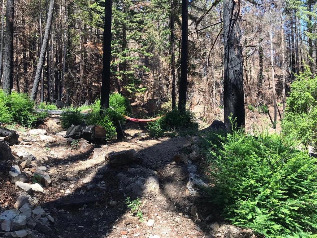 0 Whitehouse Creek, Davenport, CA 95017
