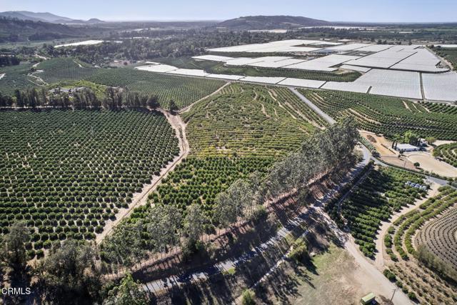 Detail Gallery Image 14 of 15 For 4363 Sand Canyon Rd, Somis,  CA 93066 - – Beds | – Baths