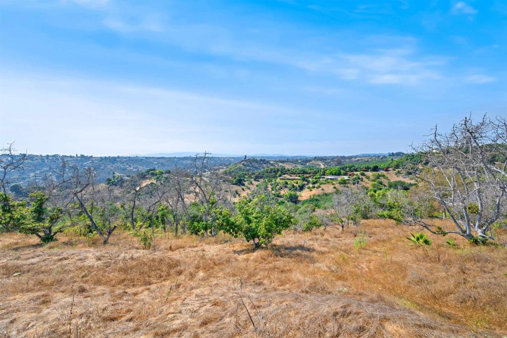 MLS #250035944SD img 15