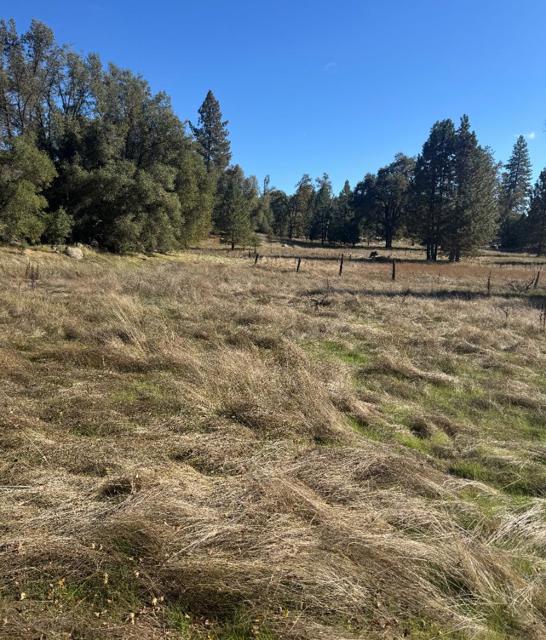 2795 State Highway 49, Mariposa CA: https://media.crmls.org/mediaz/f78675df-4ea4-46cf-bc1f-5bfdcc3b999f.jpg