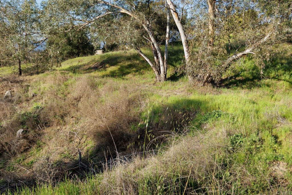 MLS #NDP2506437 image #7