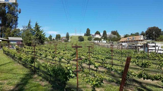 0 Fairview Dr., Hayward CA: https://media.crmls.org/mediaz/f7a9c9b8-687a-40d0-98f4-4f82ec74784d.jpg