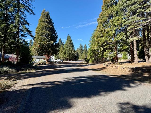 3209 Woodlake Drive, Lake Almanor CA: https://media.crmls.org/mediaz/f7b39d6c-94ea-4c86-bae8-fa5438ab5b6d.jpg