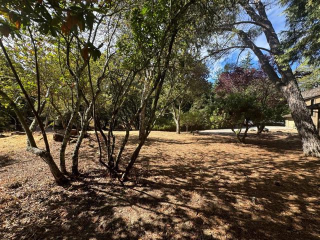 46 Morse Lane, Redwood City CA: https://media.crmls.org/mediaz/f7b46436-f59e-465d-946f-40b2cbe9928e.jpg