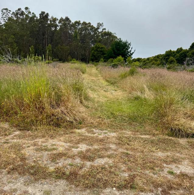 0 Bonita, Half Moon Bay CA: https://media.crmls.org/mediaz/f7ccd248-0fd2-46f0-bbdd-8213dee6856b.jpg