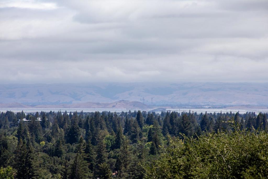 https://media.crmls.org/mediaz/f7d99809-e052-401c-8085-82e091c0547a.jpg?preset=X-Large