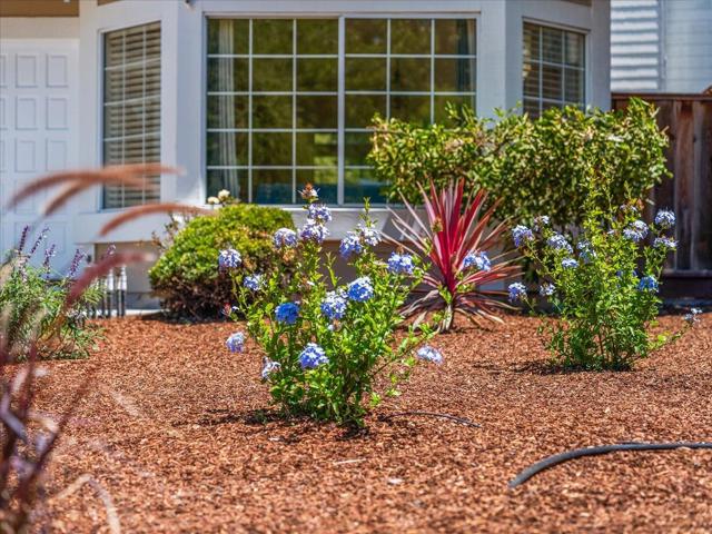 1507 New Bedford ct Court, San Jose CA: https://media.crmls.org/mediaz/f7e40353-8c81-468c-98b7-5ce547cd8269.jpg