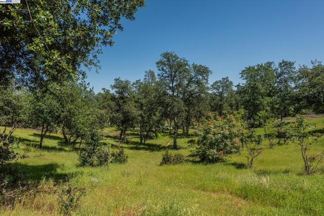 21679 Squaw Grass Trail, Redding CA: https://media.crmls.org/mediaz/f7e65277-8354-463f-88ff-987ceb39f8bd.jpg