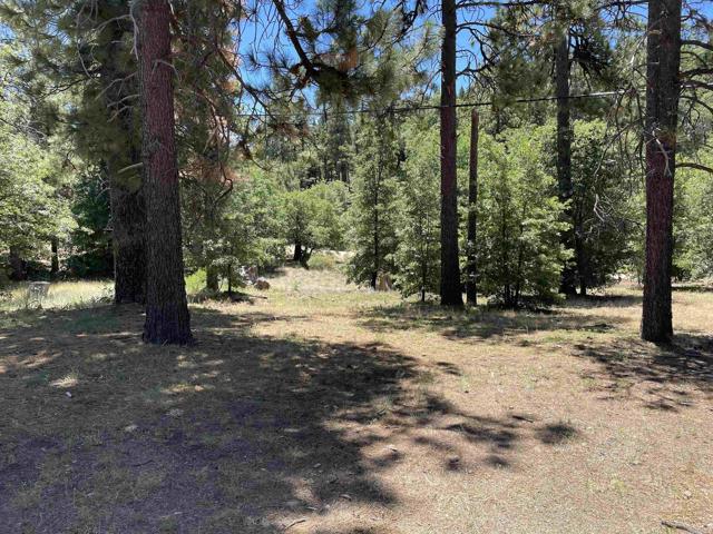 Detail Gallery Image 16 of 20 For Lot 516 El Centro Tract, Mount Laguna,  CA 91948 - 2 Beds | 1 Baths