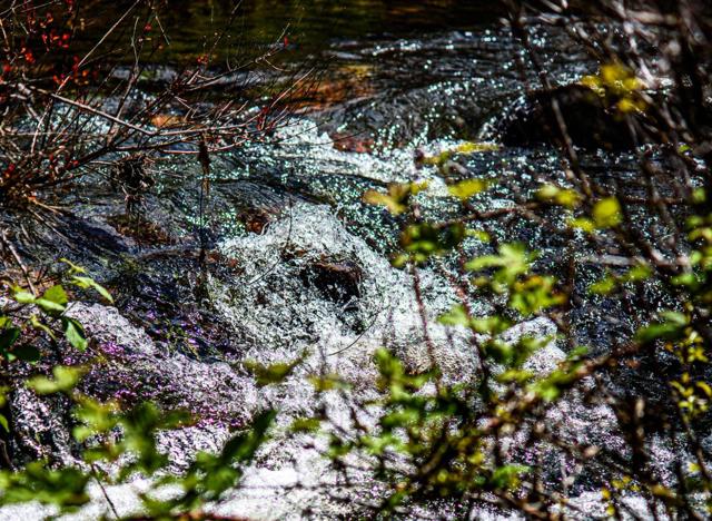 13069 Wells Fargo Drive, Groveland CA: https://media.crmls.org/mediaz/f7f35c5a-e5ec-4cef-8e9d-dcfc2550e62a.jpg