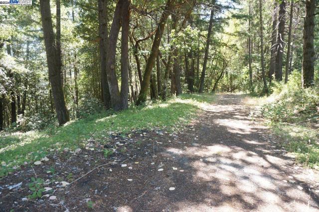 4271 State Hwy 299 Rd, Salyer CA: https://media.crmls.org/mediaz/f7fe705f-6fe7-4b6d-b27c-b36611d08c08.jpg