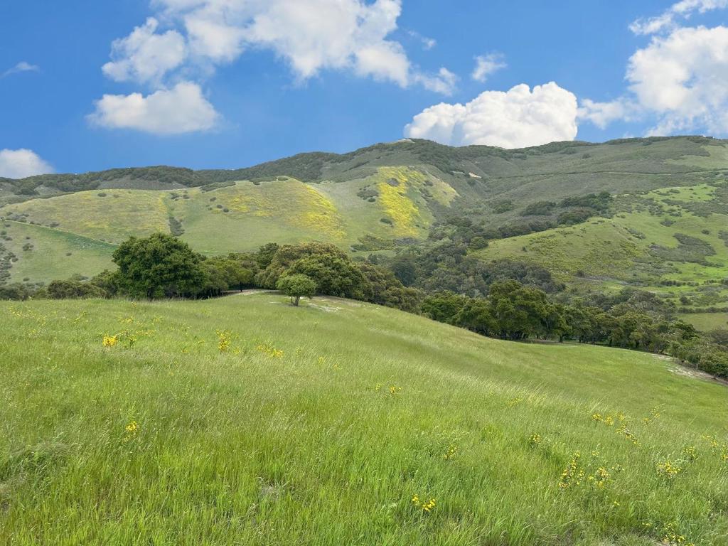 MLS #ML82008507 image #1