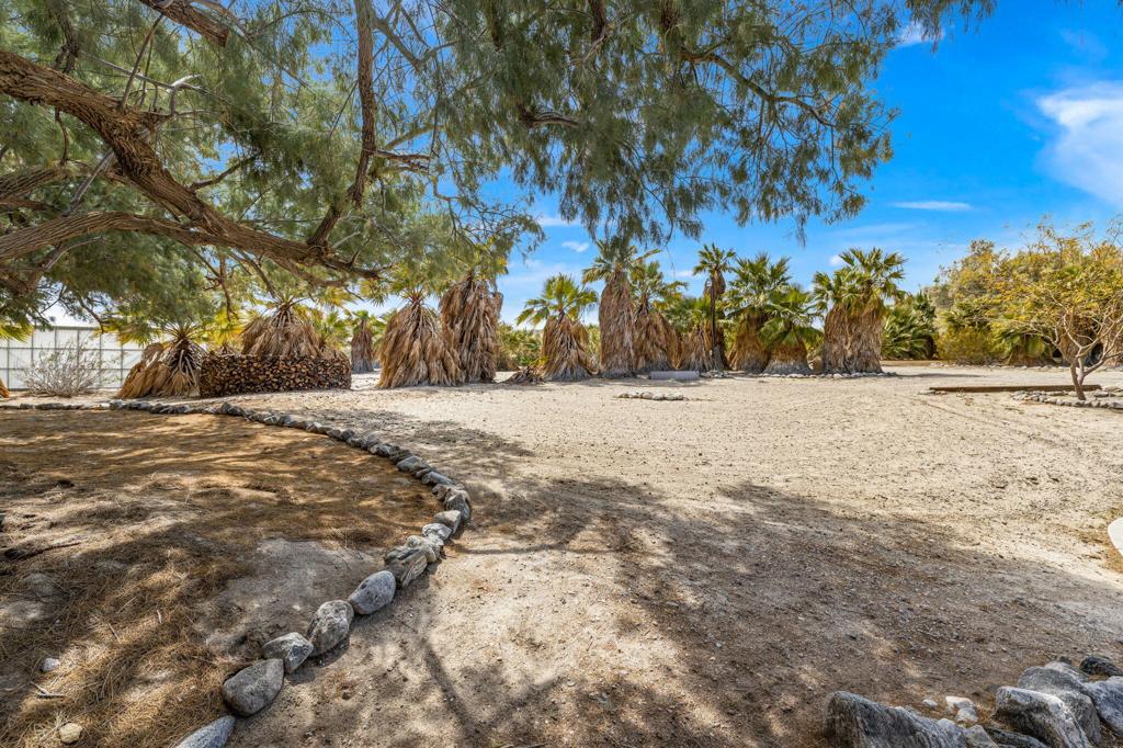 MLS #219138756DA image #41