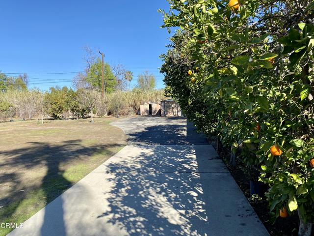 15051 Germain Street, Mission Hills CA: https://media.crmls.org/mediaz/f80ebab6-c381-4824-bba9-f284f8142149.jpg