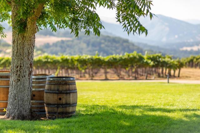Image 43 of 51 For 20300 Cachagua Road