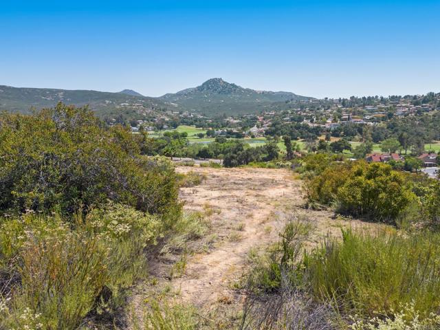 16110 Camino Arriba, Ramona, California 92065, ,Residential Land,For Sale,Camino Arriba,PTP2403291