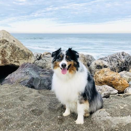 360 Fairway Drive, Pacifica CA: https://media.crmls.org/mediaz/f81dd67f-594a-4363-89ff-8c92dfc38abc.jpg