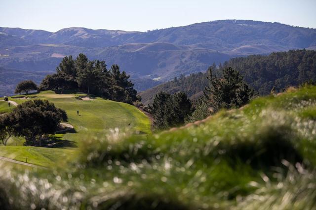 23 Tehama (Homesite 40), Carmel CA: https://media.crmls.org/mediaz/f81fc4f5-a51b-40dd-ab61-c99f244a7cbb.jpg