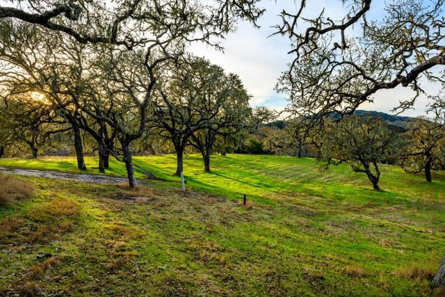 14 Vasquez Trail (Lot 181), Carmel CA: https://media.crmls.org/mediaz/f820981b-50ab-4f26-8de6-c13f6c8611f0.jpg