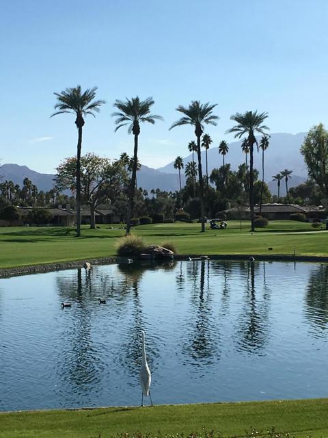 9 Rutgers Court, Rancho Mirage CA: https://media.crmls.org/mediaz/f829480f-e95a-4955-a8a1-4b07ab907436.jpg