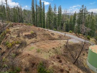 1005 Pinecrest Drive, Boulder Creek CA: https://media.crmls.org/mediaz/f8375079-0db0-4ae2-903e-2fac3f3b716c.jpg