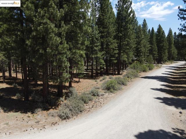 45 Claireville RD, Portola CA: https://media.crmls.org/mediaz/f839eb57-8ad4-443e-a29d-b1ff3e2e2935.jpg