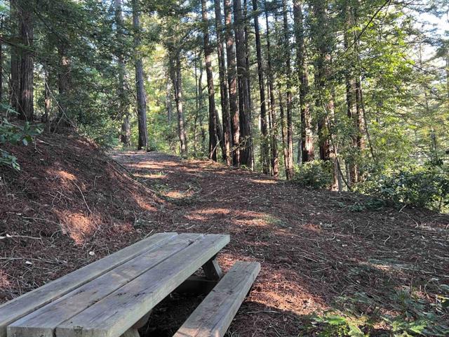 950 Oak Ridge Road, Los Gatos CA: https://media.crmls.org/mediaz/f8404130-c238-41c4-9b2c-5a144eba5deb.jpg