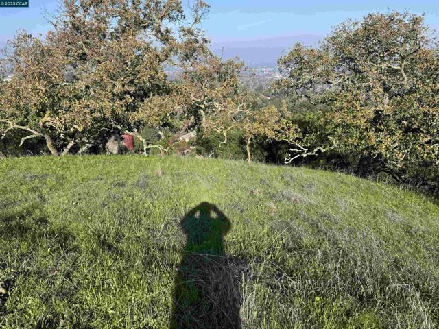 43 Cuesta way, Walnut Creek CA: https://media.crmls.org/mediaz/f841171a-0cca-436c-840a-1eae290b0ca4.jpg