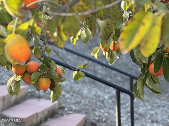 7111 Los Coyotes Place, Camarillo CA: https://media.crmls.org/mediaz/f8489f37-8175-4de3-af9e-230fbc6f8830.jpg