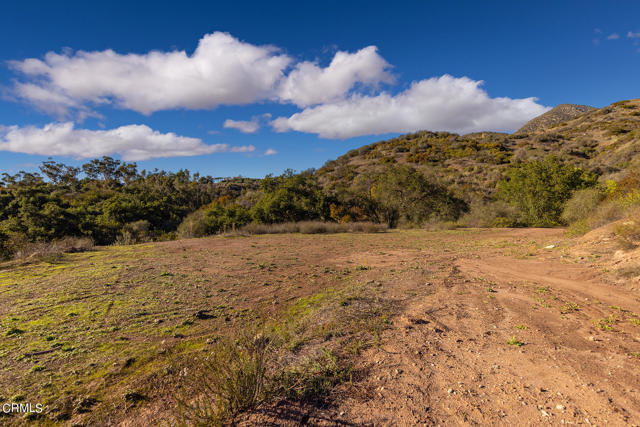 380 Valley View Road, Ojai, California 93023, ,Land,For Sale,380 Valley View Road,CRV1-21530