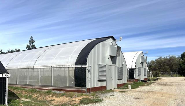 10350 West Lilac, Valley Center CA: https://media.crmls.org/mediaz/f8668dbe-61f1-444f-9748-6f87e4cb0688.jpg