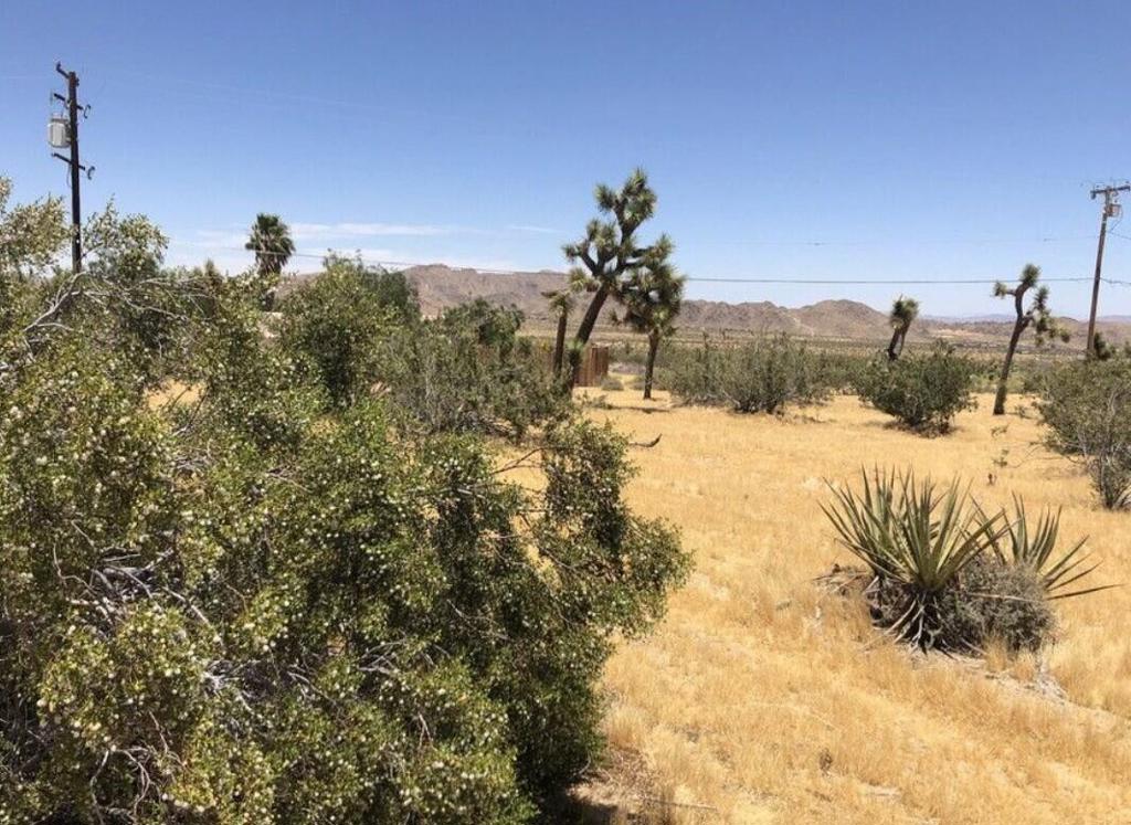 MLS #219139119PS image #9