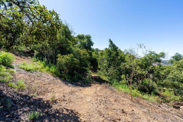 0 Wilt Road, Fallbrook CA: https://media.crmls.org/mediaz/f86a6115-074a-4ba1-ba92-94febfec570a.jpg