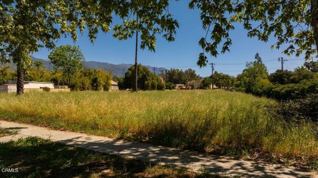 Detail Gallery Image 12 of 14 For 325 Bryant St, Ojai,  CA 93023 - – Beds | – Baths