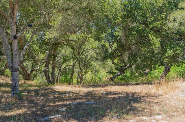 12167 Saddle Road, Carmel Valley CA: https://media.crmls.org/mediaz/f8703044-3fec-47de-938b-6f219937854a.jpg