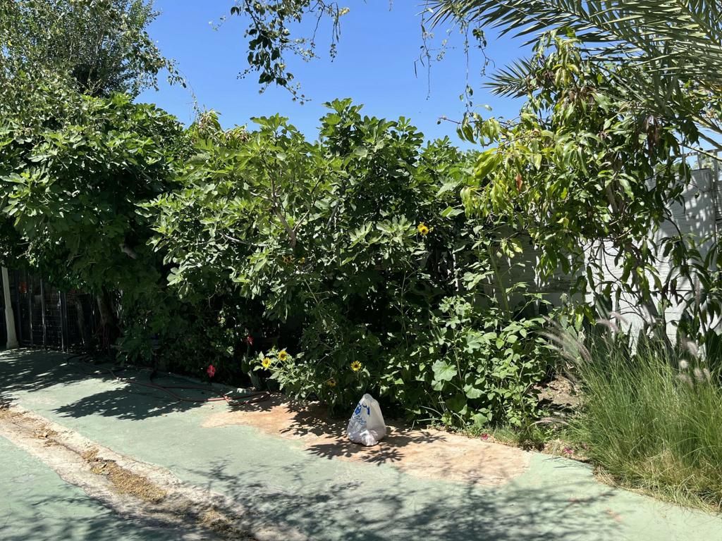 MLS #219138573DA image #9