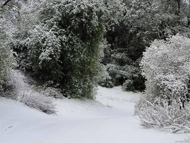 Winter may bring a dusting of snow