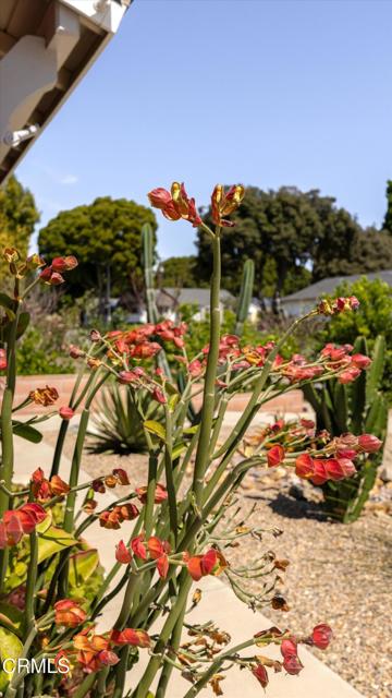 Detail Gallery Image 23 of 24 For 173 Bucknell Ave, Ventura,  CA 93003 - 4 Beds | 2 Baths