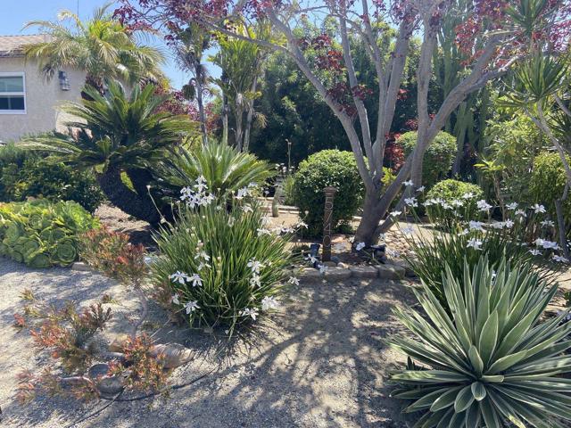 5740 Adams Ave, San Diego CA: https://media.crmls.org/mediaz/f87d7cb0-a221-4d42-a98a-7f06cc2e7c68.jpg