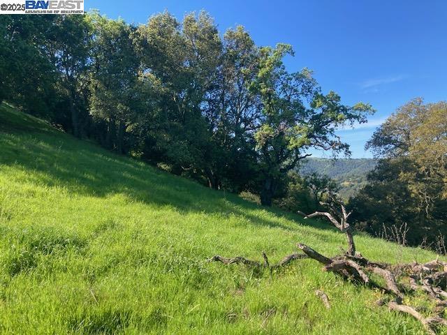 0 Wanda Way, Martinez CA: https://media.crmls.org/mediaz/f886a403-5767-4897-a9e0-4c69a6a674ed.jpg