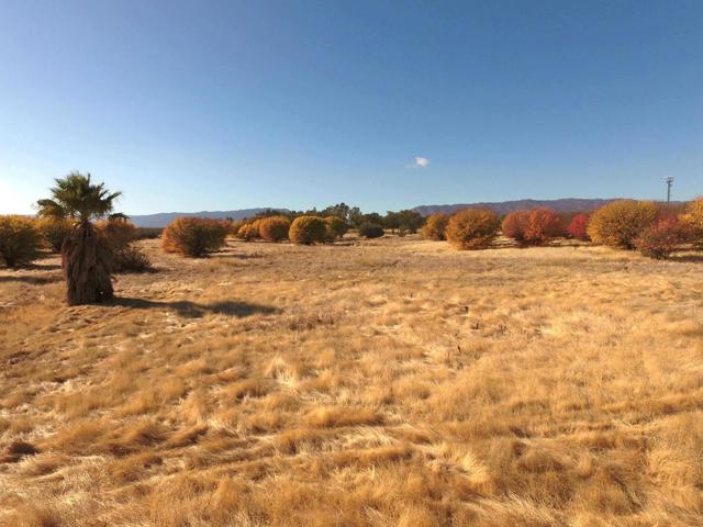 27643 County Road 88, Winters CA: https://media.crmls.org/mediaz/f88deac3-c9cf-4fd5-9dc9-b3e788080e83.jpg