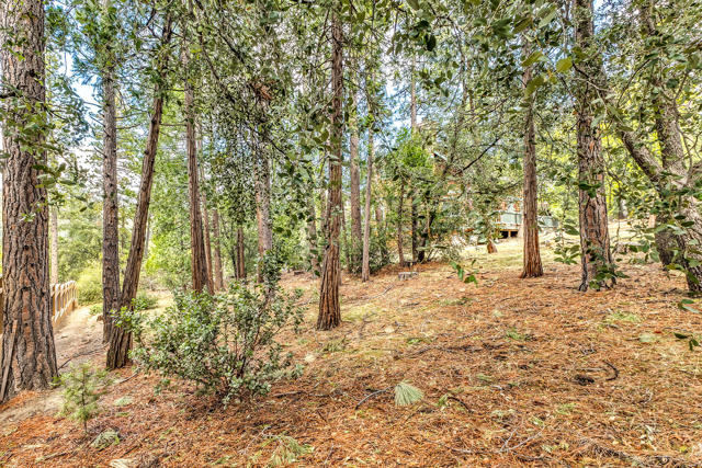 53184 Double View Drive, Idyllwild CA: https://media.crmls.org/mediaz/f898100f-4440-46f5-b6cd-982ea686f9d0.jpg