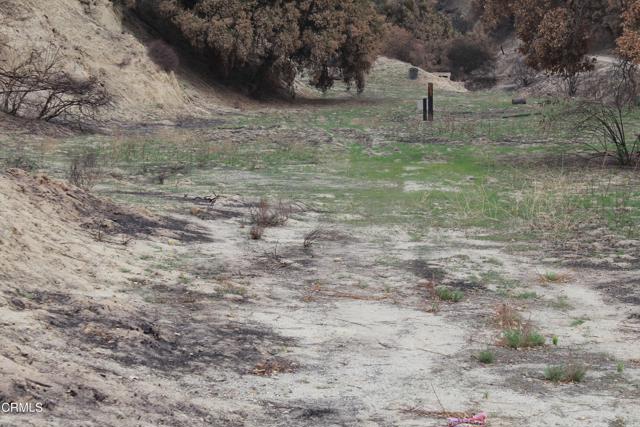 Detail Gallery Image 21 of 27 For 31029 Hasley Canyon Rd, Castaic,  CA 91384 - – Beds | – Baths