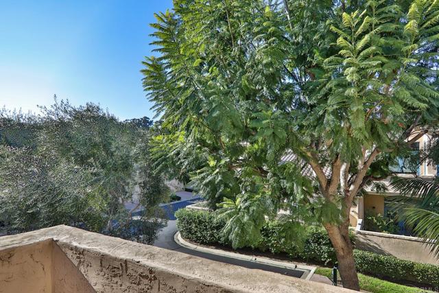 Detail Gallery Image 43 of 47 For 3720 Calle Cortejo, Rancho Santa Fe,  CA 92091 - 3 Beds | 2/1 Baths