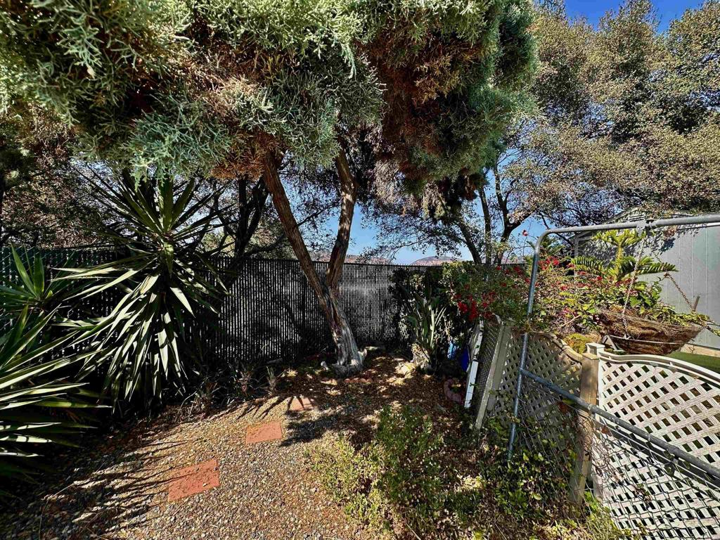 4808 Old Cliffs Road - photo 20