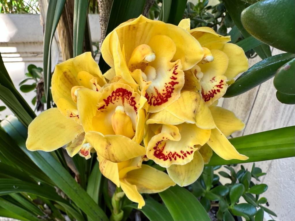 https://media.crmls.org/mediaz/f8b5c2fd-fd34-41c1-b0d2-5ee3219c42ec.jpg?preset=X-Large