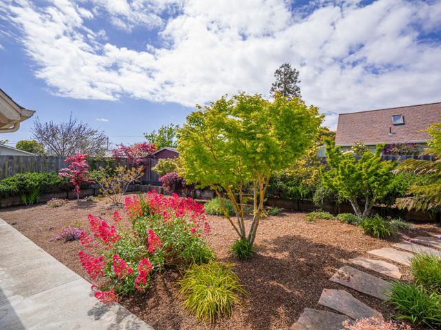 215 Trescony Street, Santa Cruz CA: https://media.crmls.org/mediaz/f8bbc7f5-2ac3-406e-9ca6-c05a64a531d0.jpg