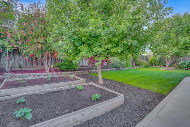 3644 Ashwood Drive, Pleasanton CA: https://media.crmls.org/mediaz/f8ce2150-28b1-4f6f-b0ec-aebf8076e9f1.jpg