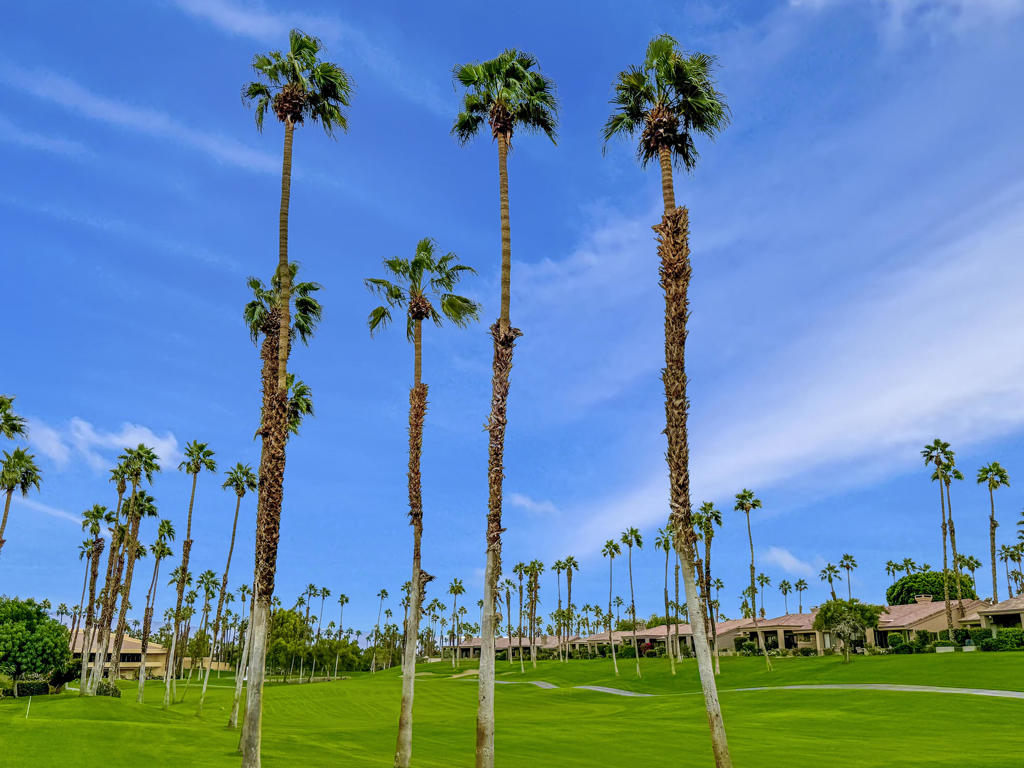 MLS #219138850DA image #33